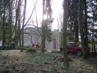  clearing up some thinned out woods